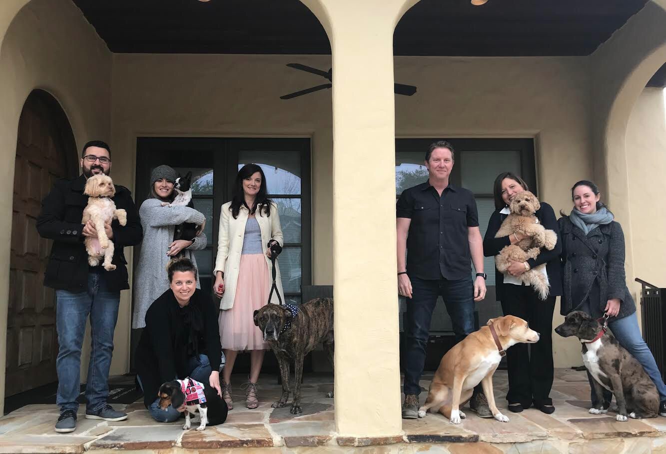 The VISION team and all the puppies the love