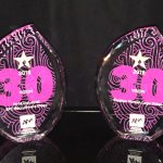 VISION 2018 Lantern Award wins