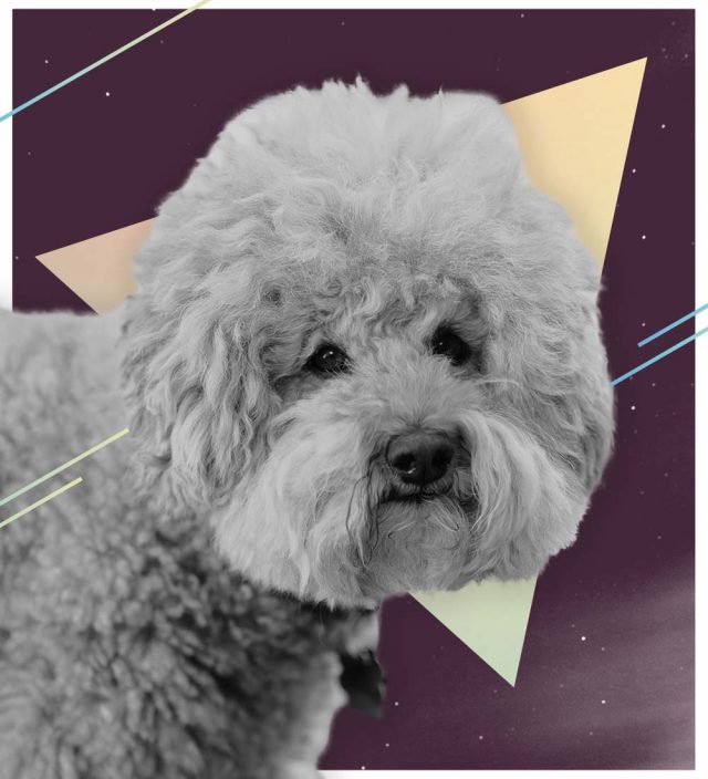 Houston Production Company