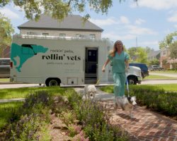 Vet walking dogs from Rollin' Vets van