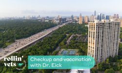 Drone shot of Houston with Rollin' Vets logo and caption "Checkup and vaccination with Dr. Eick"