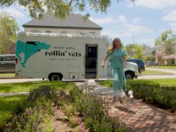 Vet walking dogs back home from Rollin' Vets van