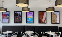 Dessert Gallery Video Art Installation